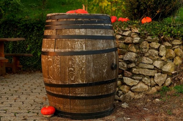 What Are the Health Benefits of Using Traditional Fermentation Techniques in Modern Culinary Practices?